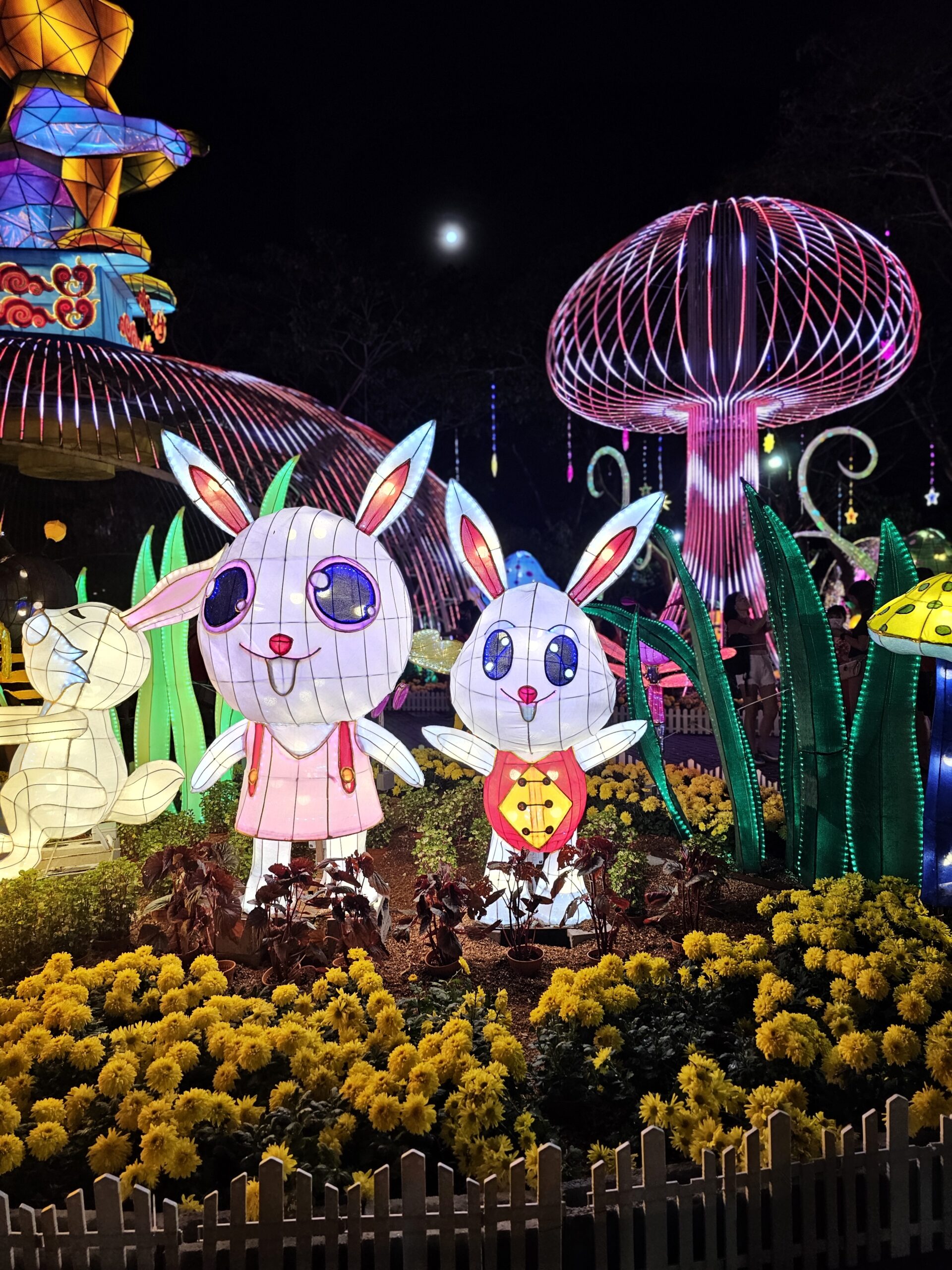 Samsung Galaxy S23 Ultra 200MP Night Photography